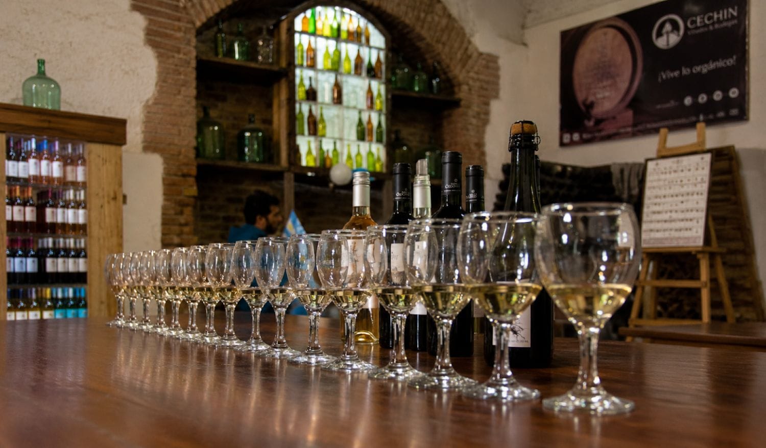 Gourmet Wine Tour Mendoza: Almuerzo en Santa Julia (Pan y Oliva) o Tempus Alba