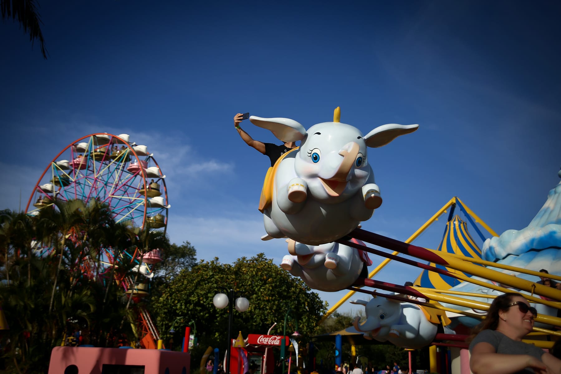 Traslado para o incrível Beto Carrero World