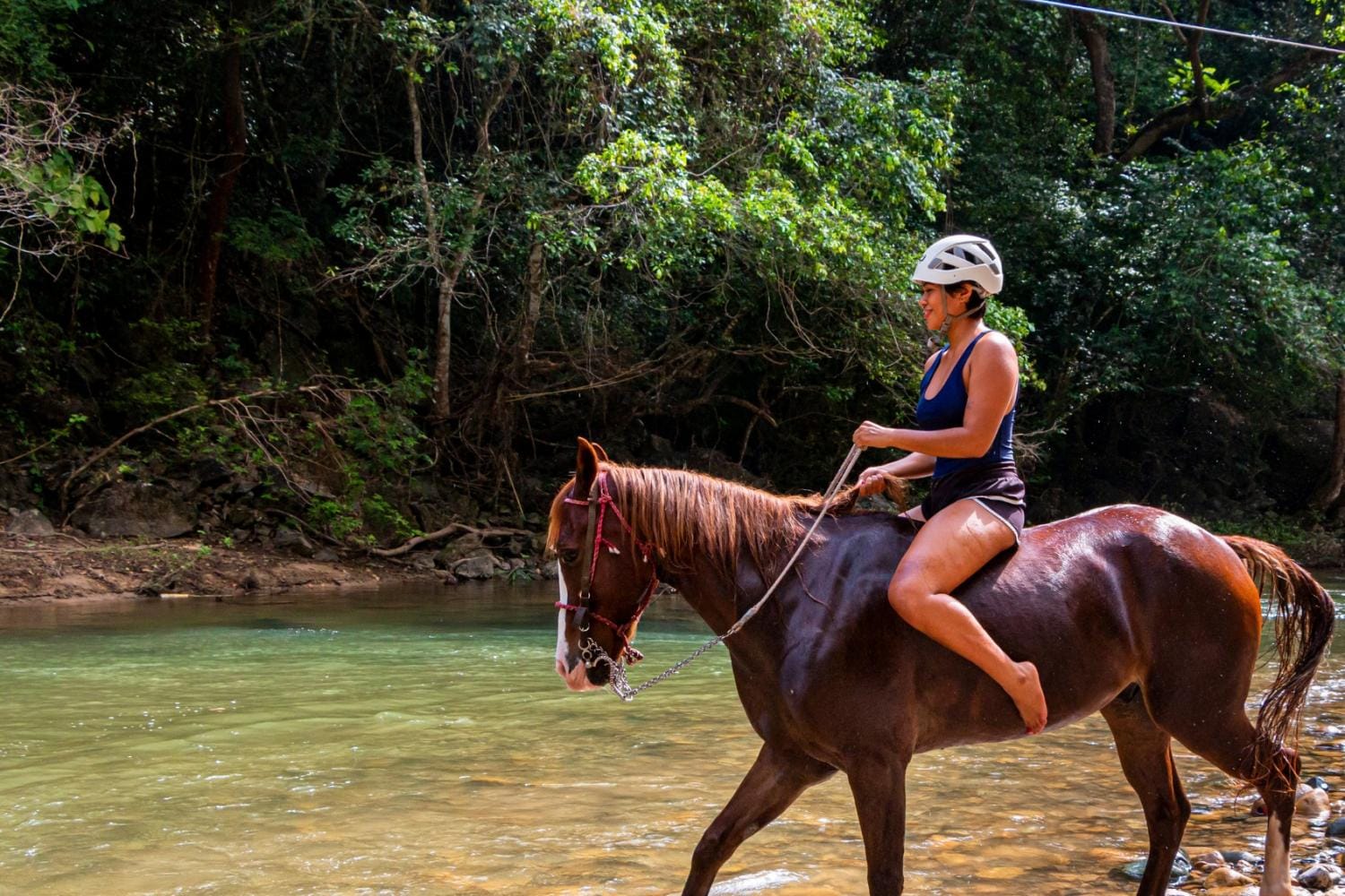 Horseback Riding Adventure