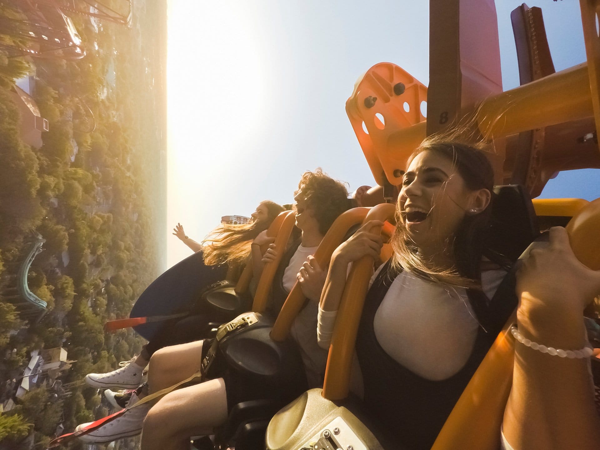 Parque Busch Gardens Tampa - Ingresos