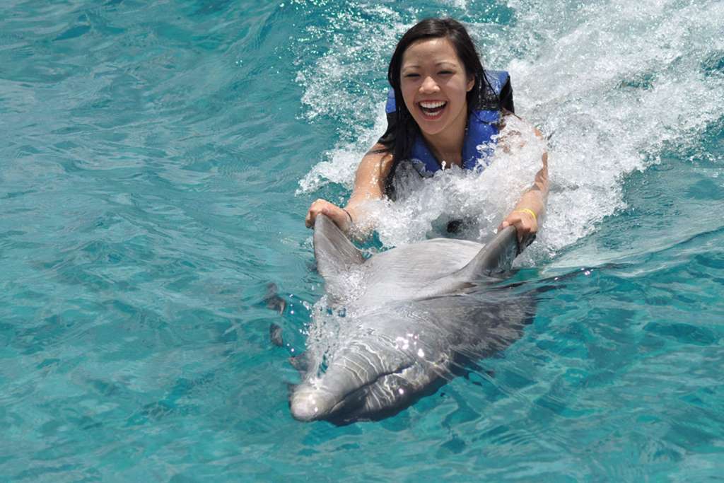 Swim with dolphins Riviera Maya Royal Swim