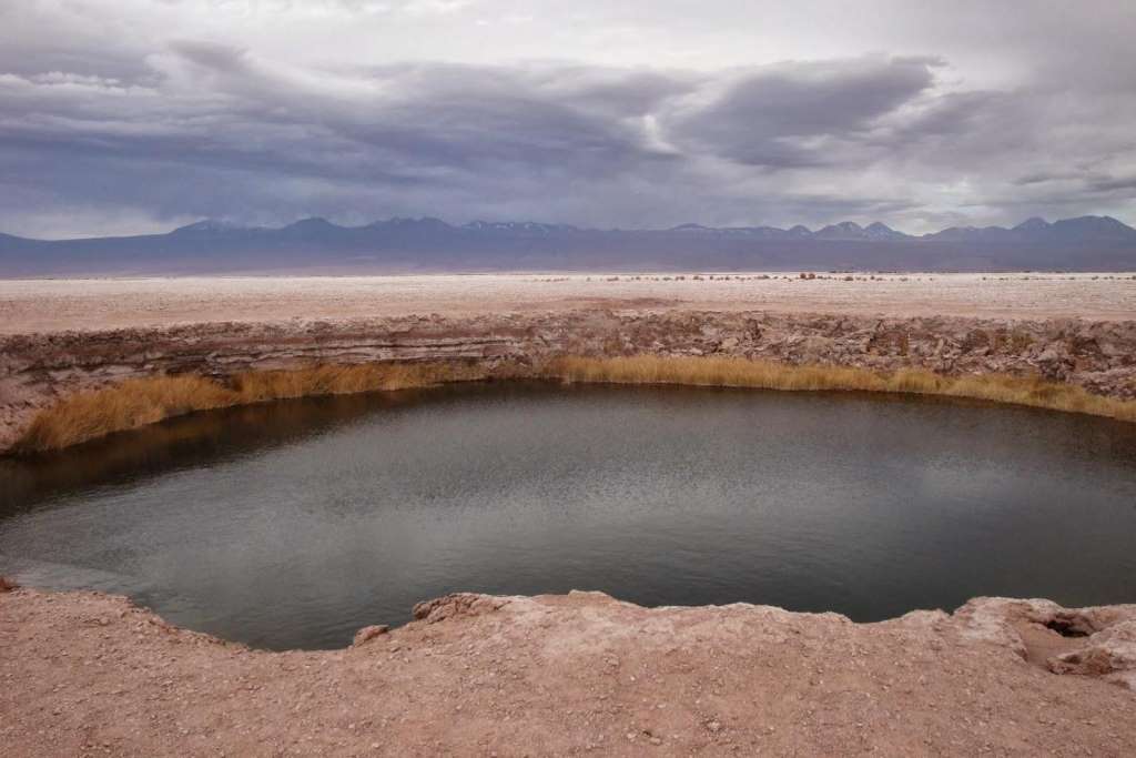 Tour a las lagunas de Cejar, Tebinquiche y Ojos del Salar Atacama