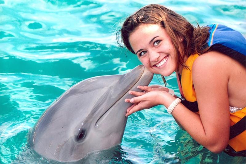 Dolphin Royal Swim - Cozumel