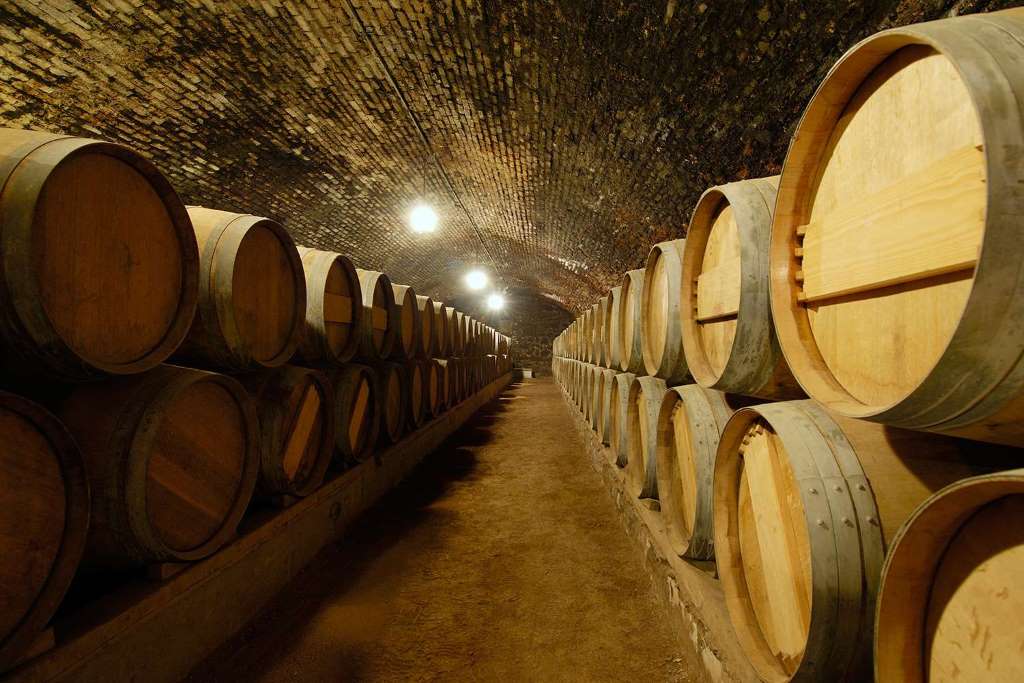 Vinícola Concha y Toro